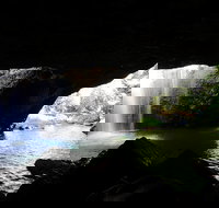 Rainforest  Waterfalls Extravaganza - Maitland Accommodation