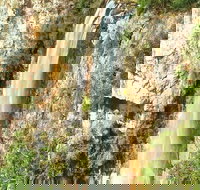 Private Tour - Rainforest  Waterfalls Extravaganza - Maitland Accommodation