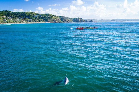 The Byron Bay Sea Kayak Tour - Maitland Accommodation 2