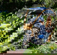 Adelaide 90-Minute Pedicab Tour Scenic Green  River Experience - Maitland Accommodation