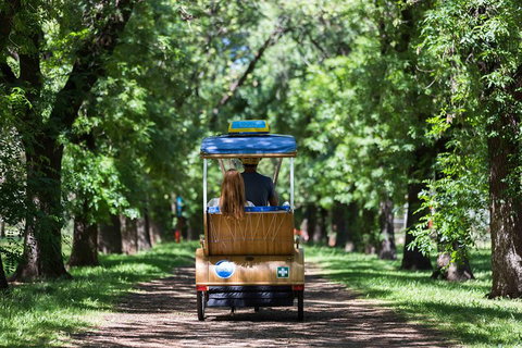 Adelaide 90-Minute Pedicab Tour: Scenic Green & River Experience - Maitland Accommodation 2
