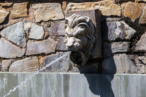 Adelaide 90-Minute Pedicab Tour: Scenic Green & River Experience - Maitland Accommodation 3