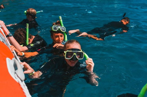 Whitehaven Beach And Hill Inlet Lookout Full-Day Snorkeling Cruise By High-Speed Catamaran - Maitland Accommodation 3