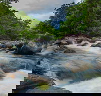 Cape Tribulation Day Tour - Maitland Accommodation