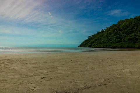 Cape Tribulation Day Tour - Maitland Accommodation 2