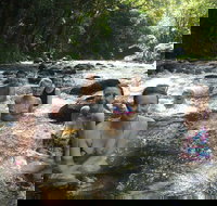 Daintree Rainforest Cape Tribulation Mossman Gorge Small-Group Day Tour - Maitland Accommodation