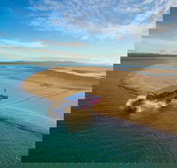 Town of 1770 Afternoon Cruise - Maitland Accommodation