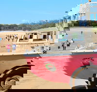 1770 Coastline Tour by LARC Amphibious Vehicle Including Picnic Lunch - Maitland Accommodation