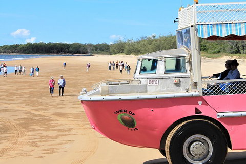 1770 Coastline Tour By LARC Amphibious Vehicle Including Picnic Lunch - Maitland Accommodation 0