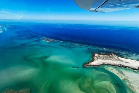 Wet Season Incredible Islands Tour - Horizontal Falls & Cygnet Bay Pearl Farm - Maitland Accommodation 4