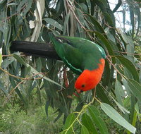 3-Day Private Adelaide to Melbourne tour - Maitland Accommodation