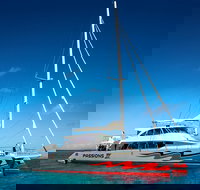 Passions of Paradise Great Barrier Reef Snorkel and Dive Cruise from Cairns by Luxury Catamaran - Maitland Accommodation