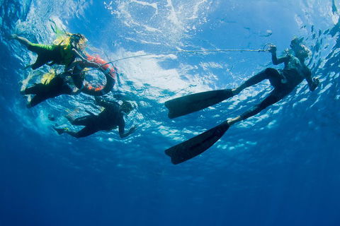 Passions Of Paradise Great Barrier Reef Snorkel And Dive Cruise From Cairns By Luxury Catamaran - Maitland Accommodation 2