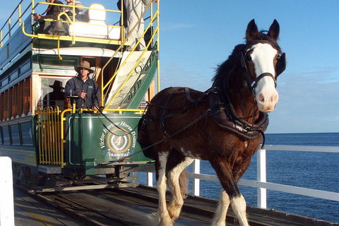 Full-Day Tour In South Australia Highlights - Maitland Accommodation 1