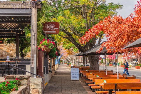 Full-Day Tour In South Australia Highlights - Maitland Accommodation 2