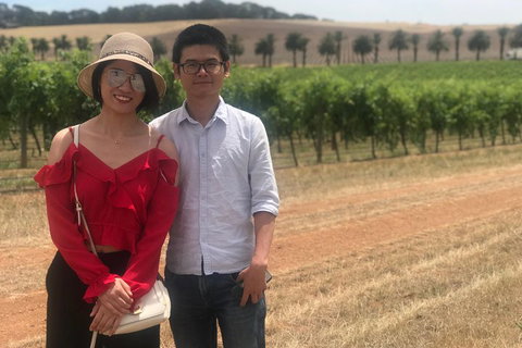 Adelaide City Highlights With Hahndorf And Mt. Lofty - Maitland Accommodation 3