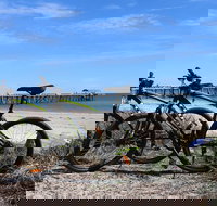 Adelaide City to Sea Bike Tour - Maitland Accommodation