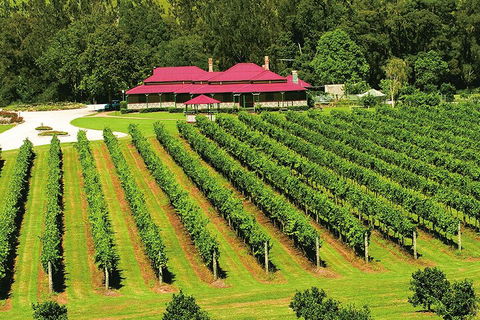 O'Reilly's & Lamington National Park From Gold Coast - Maitland Accommodation 2