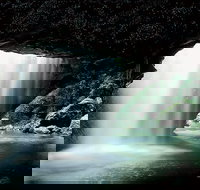 Natural Bridge Glow Worm Night Tour from Gold Coast - Maitland Accommodation