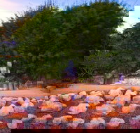 Byron Bay and the Crystal Castle Day Tour from Gold Coast - Maitland Accommodation