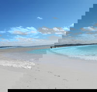 Shipwreck Special Nature Tour/Half Day Tour - Maitland Accommodation