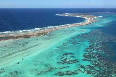 Pink Lake + Abrolhos Islands Nature Tour - Maitland Accommodation 2