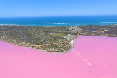 Pink Lake + Abrolhos Islands Nature Tour - Maitland Accommodation 4