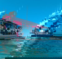 Best of Moreton Bay Cruise - Maitland Accommodation