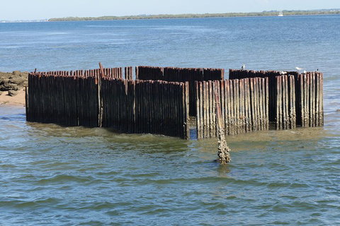 Best Of Moreton Bay Cruise - Maitland Accommodation 1