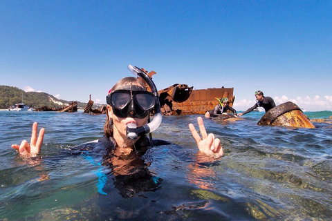 Best Of Moreton Bay Cruise - Maitland Accommodation 4