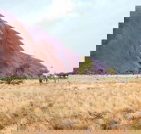 Uluru Sunrise and Guided Base Walk - Maitland Accommodation