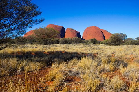Kata Tjuta Sunrise And Valley Of The Winds Half-Day Trip - Maitland Accommodation 1