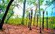 Tiwi Islands Cultural Experience From Darwin Including Ferry - thumb 3