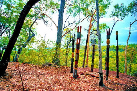 Tiwi Islands Cultural Experience From Darwin Including Ferry - Maitland Accommodation 3