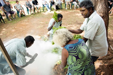 Tiwi Islands Cultural Experience From Darwin Including Ferry - Maitland Accommodation 4