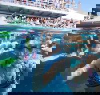 Great Barrier Reef Day Cruise from Cairns Including Snorkeling and Marine Biologist Presentation - Maitland Accommodation