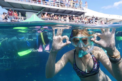 Great Barrier Reef Day Cruise From Cairns Including Snorkeling And Marine Biologist Presentation - Maitland Accommodation 0