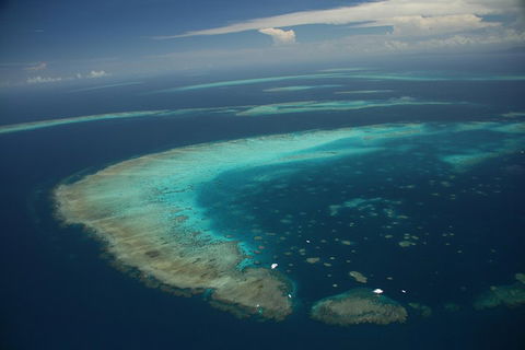 Great Barrier Reef Day Cruise From Cairns Including Snorkeling And Marine Biologist Presentation - Maitland Accommodation 1