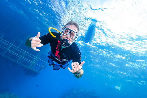 Great Barrier Reef Day Cruise From Cairns Including Snorkeling And Marine Biologist Presentation - Maitland Accommodation 3