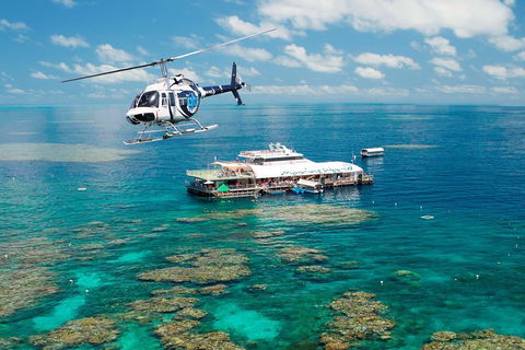 Great Barrier Reef Day Cruise From Cairns Including Snorkeling And Marine Biologist Presentation - Maitland Accommodation 5