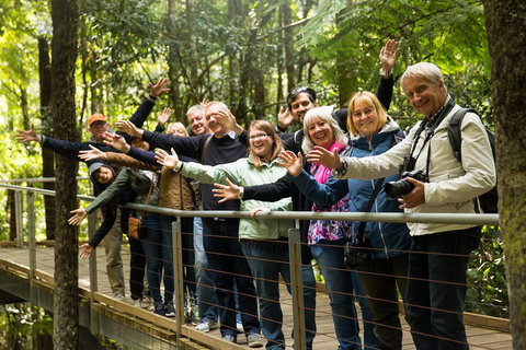 All Inclusive Blue Mountains Small-Group Day Trip From Sydney - Maitland Accommodation 5