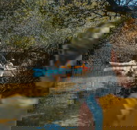 Kayak Tour in Adelaide Dolphin Sanctuary - Maitland Accommodation