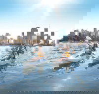 Brisbane Kayak Tour - Maitland Accommodation