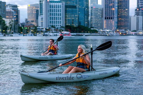 Brisbane Kayak Tour - Maitland Accommodation 3