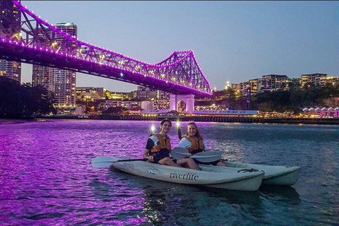 Brisbane Kayak Tour - Maitland Accommodation 4