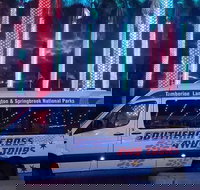 Evening Rainforest  Glow Worm Experience - Maitland Accommodation