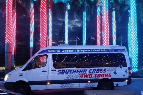 Evening Rainforest & Glow Worm Experience - Maitland Accommodation 0