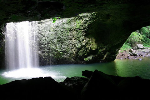 Natural Bridge & Springbrook Waterfalls Tour + Hot Air Balloon With Breakfast - Maitland Accommodation 2