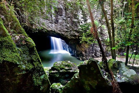 Natural Bridge & Springbrook Waterfalls Tour + Hot Air Balloon With Breakfast - Maitland Accommodation 4