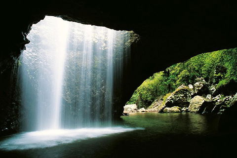 Natural Bridge & Springbrook Waterfalls Tour - Maitland Accommodation 0